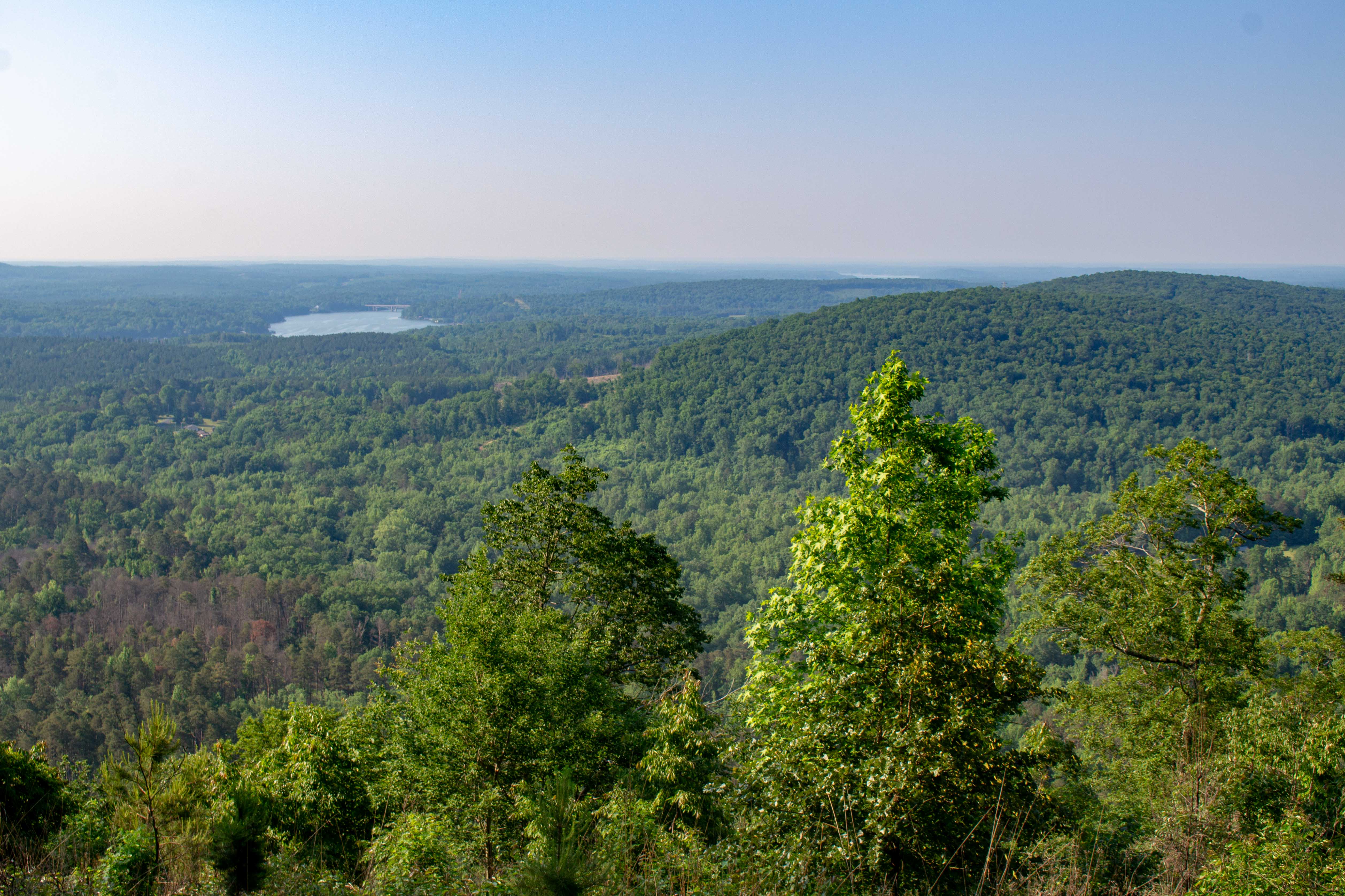 Photograph of wooded hills and water viewed from Morrow Mountain in May 2019.